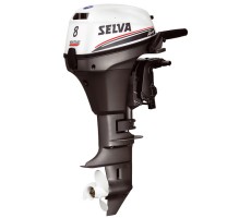 Selva Ray 8